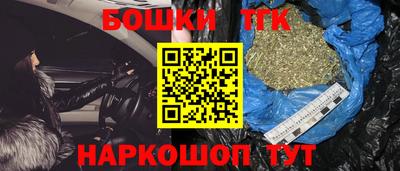 индика Лесосибирск